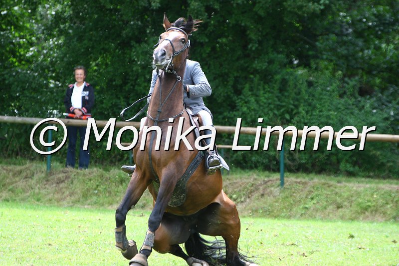 007L8330_Vladi Sturz.jpg